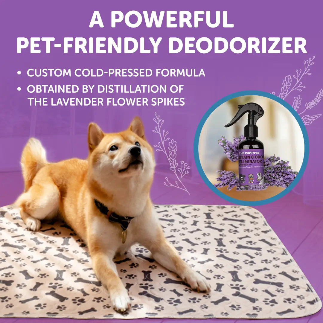 PuppyPad Stain & Odor Eliminator Spray