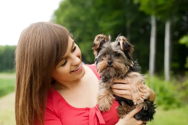 Most Effective Ways to Bond With Your New Puppy