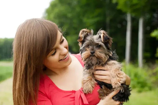 Most Effective Ways to Bond With Your New Puppy
