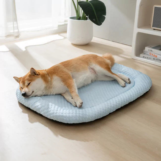 Buy 2 CoolingBed Get 1 Free