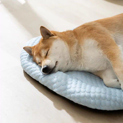 CozyBed