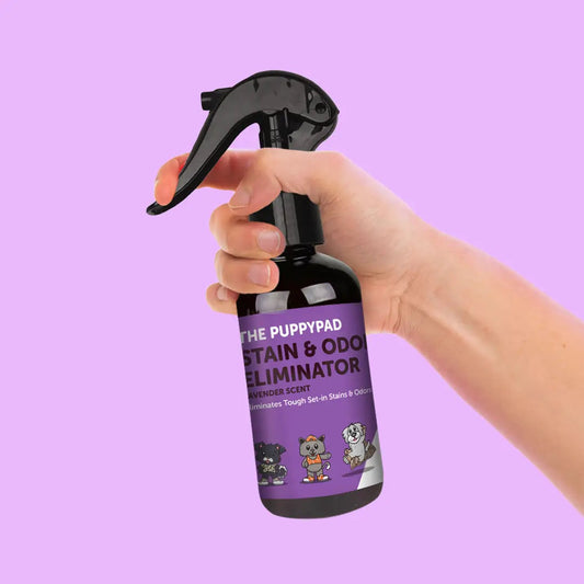 PuppyPad Stain & Odor Eliminator Spray