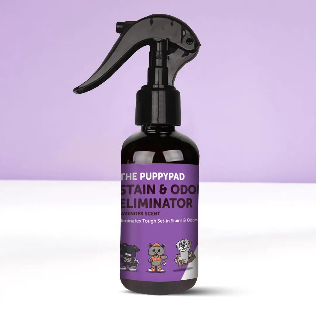 PuppyPad Stain & Odor Eliminator Spray